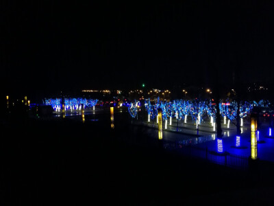 家里神女湖春节夜景