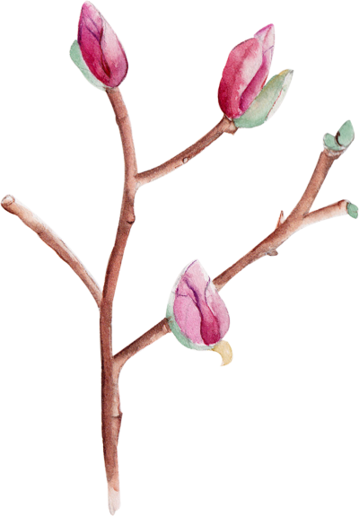 淘宝店铺[与光同行]唯美森林系粉嫩手绘水彩花卉婚礼请柬邀请卡片设计素材