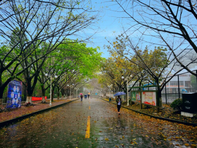 雨