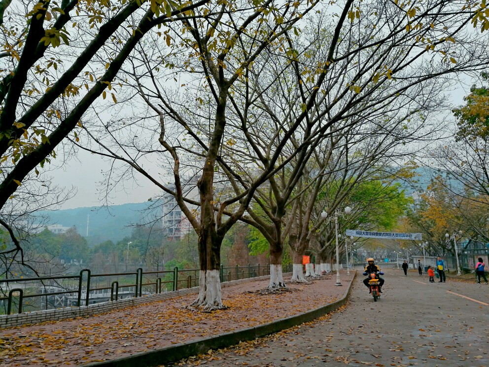 晴