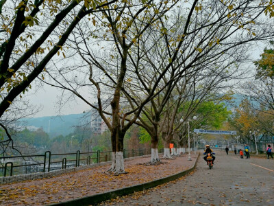 晴