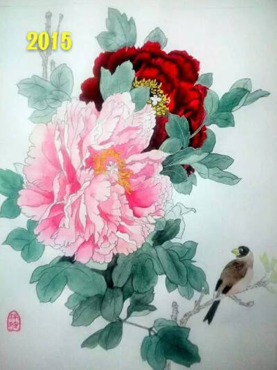 彩铅 水彩 工笔 牡丹 花鸟