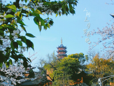 春风十里不如你，古鸡鸣寺