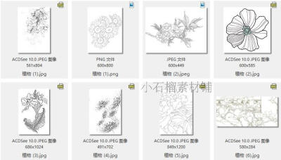 花卉植物线稿花草树木水彩画漫画绘画手绘素描临摹素材9