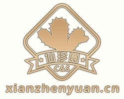 链接：http://www.xianzhenyuan.cn/forum.php?mod=viewthread&tid=1395905&extra=