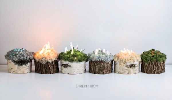 etsy.com/shop/shroomintheroom?ref=pr_shop_more