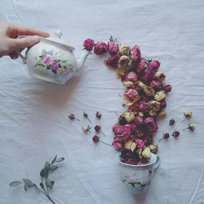  俄罗斯艺术家 Marina Malinovaya 用照片诠释了一壶香气四溢的“花茶”是怎样的。
在诗一般的花茶摄影故事中，Malinovaya 只运用了植物、茶具和不同质感的桌面；但她巧妙的将这些简单的素材摆成阵阵…