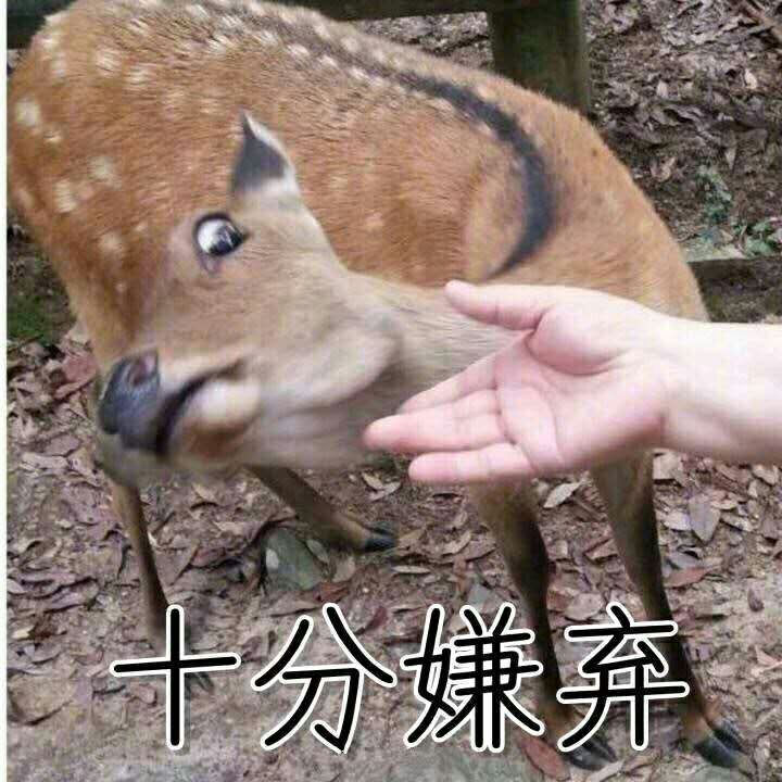 表情包