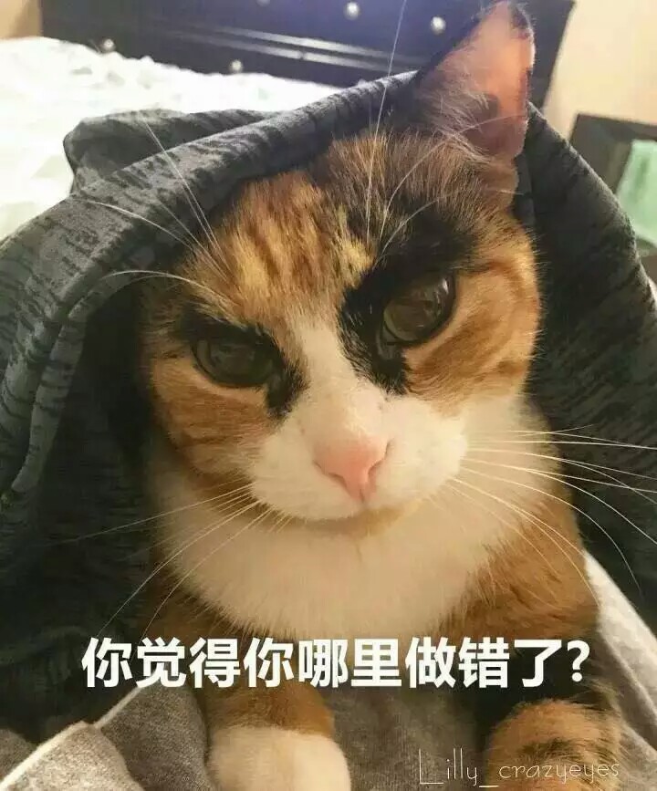 一只王者范十足的猫，一双霸气十足的"眉"，仿佛掌控着全世界。每天都很严肃地审视着周围，铲屎官每天也都要思考哪里做错了(ins:lilly_crazyeyes) ​​
@我的朋友是个呆b