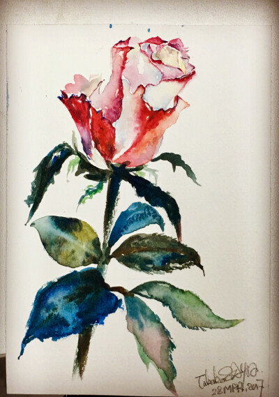 Watercolor by TakAKoSAYA 