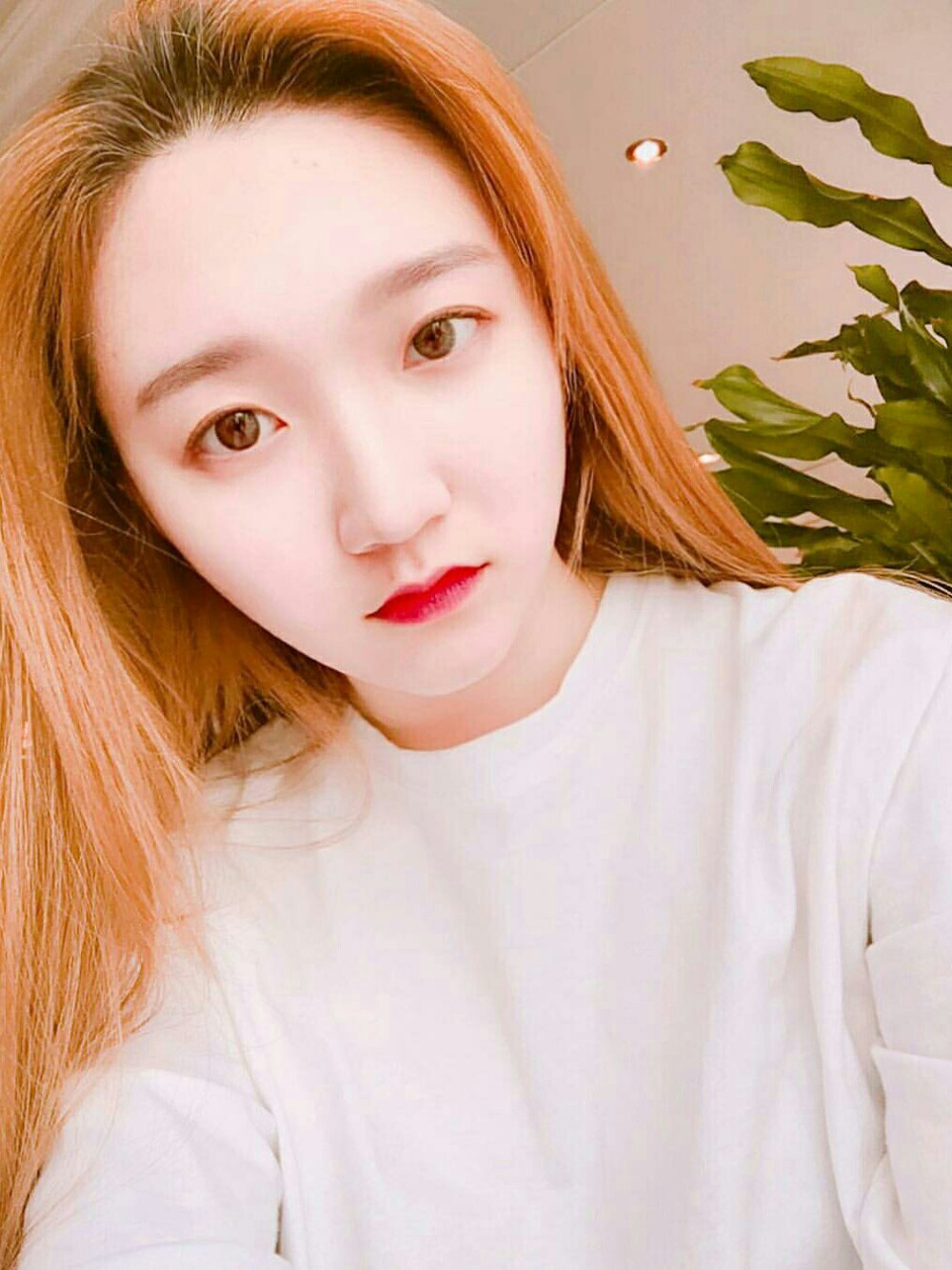 泄露了仙气°女图