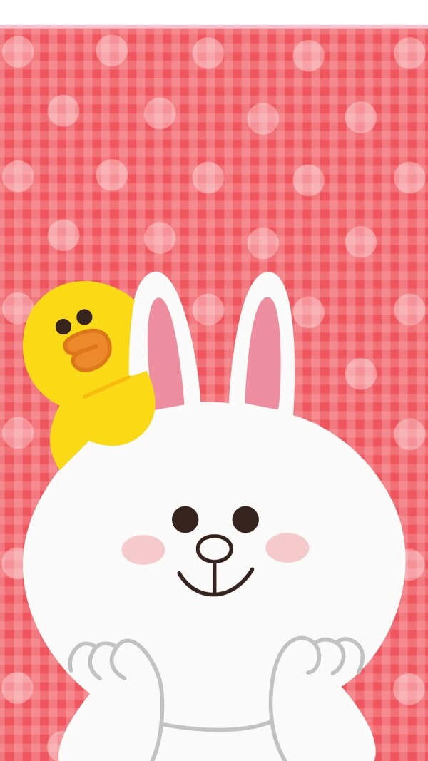 Line Friends 布朗熊 ➕ 可妮兔