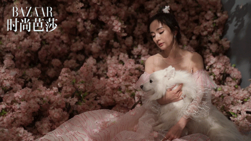杨幂时尚芭莎