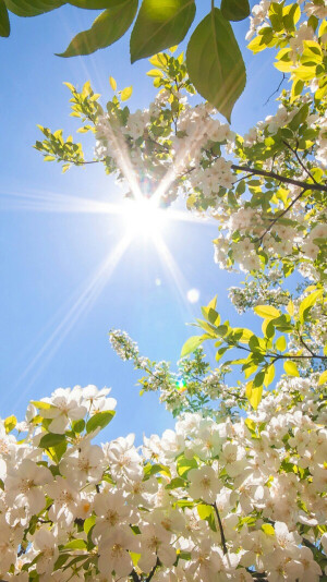 暗黑欣の简单 [手机桌面] [壁纸] [高清]