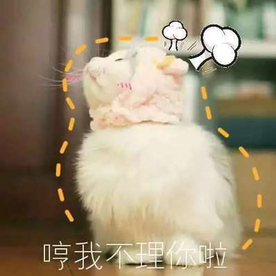 萌宠 (๑• . •๑) 表情包 猫