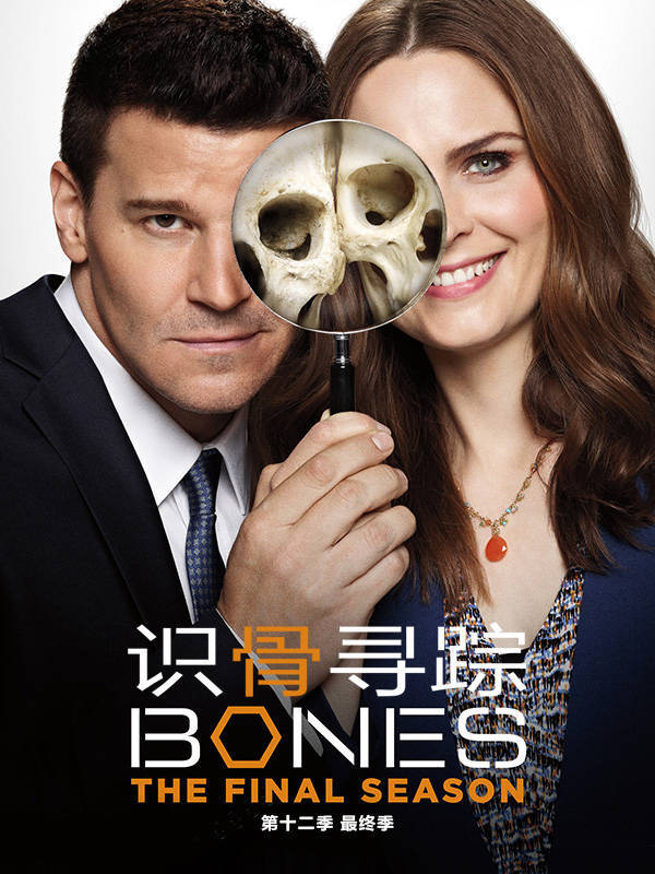 《识骨寻踪》（Bones）