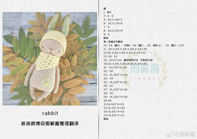 rabbit-01（图解存自微博）