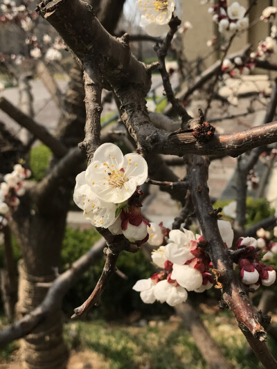 花花世界，一花一世界。