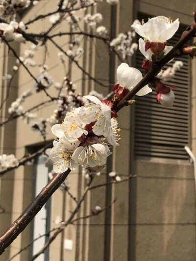 花花世界，一花一世界。