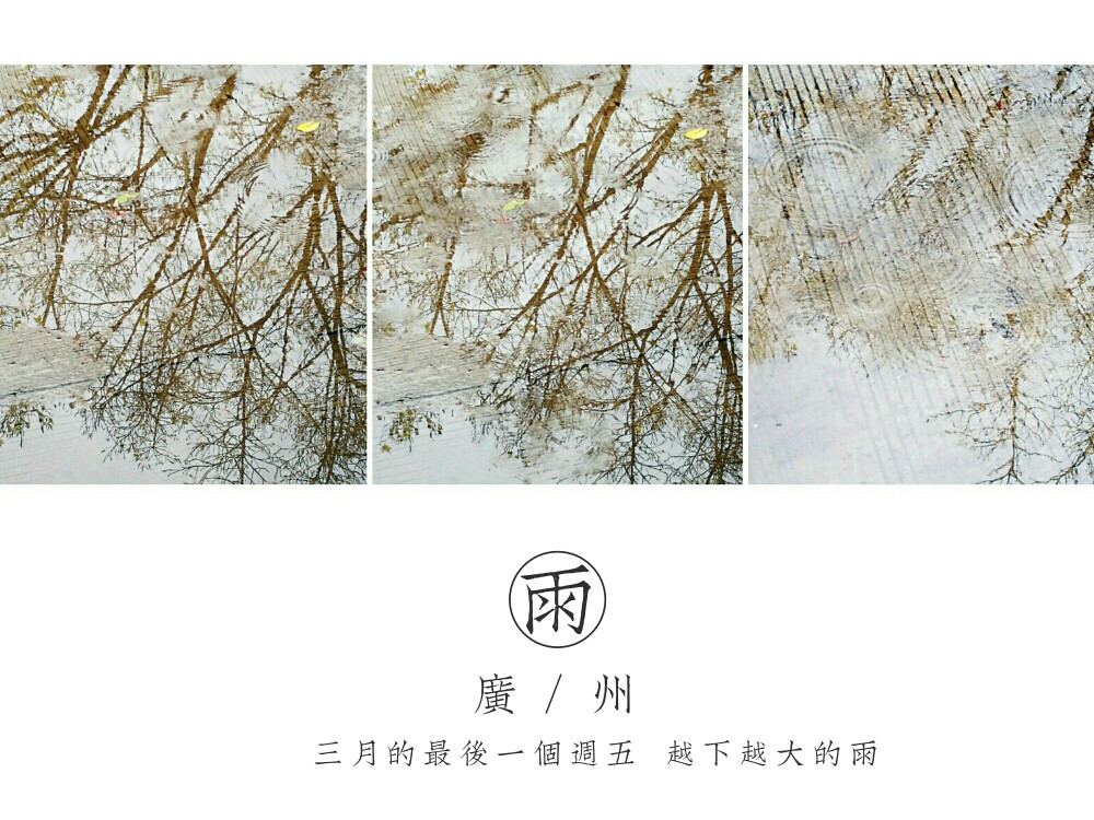 雨