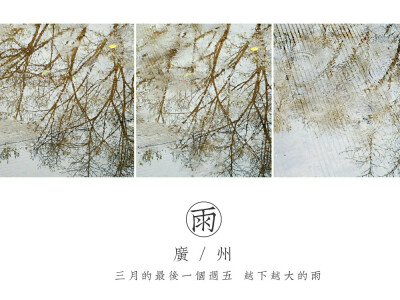 雨