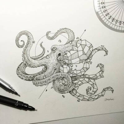 美图 收藏
菲律宾艺术家 Geometric Beasts几何动物插画