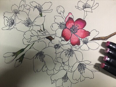 桃花 粉 画