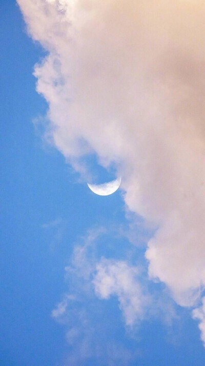 女生头像壁纸 喜欢收藏+关注 谢谢~