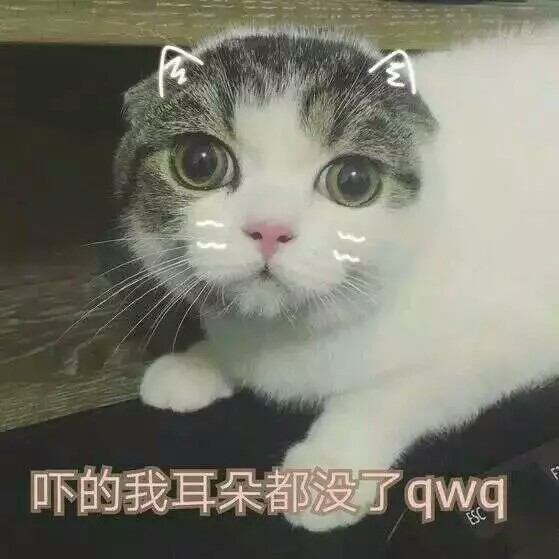 周啊欣
猫奴系"并不是不想拥有
而是怕拥有后失去
更怕失去后以怀念度日" ​​​