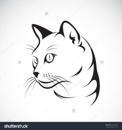 Vector of a cat face design on white background