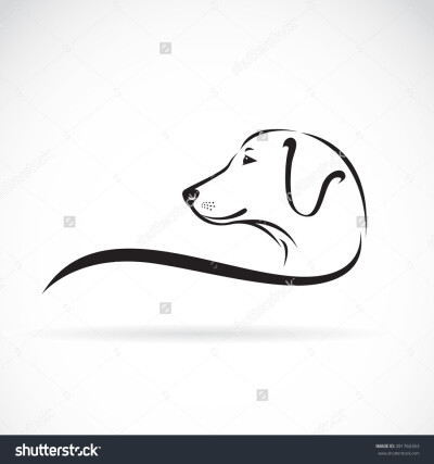 Vector image of an Labrador dog's head