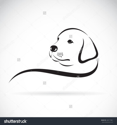 Vector of a dog labrador head2