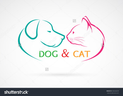 DOG&CAT