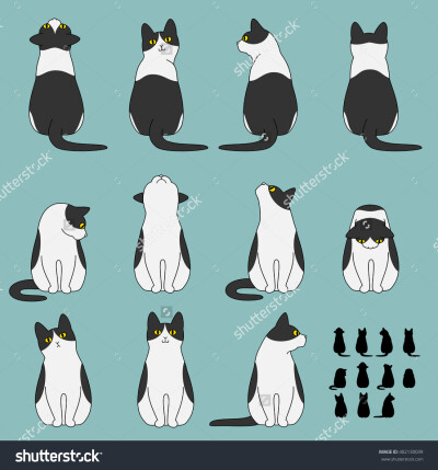 Set of cat sitting poses