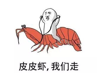 皮皮虾，我们走