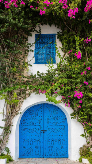 蓝白小镇，全名西迪布萨义德，因其所有的房屋只有两种颜色，白色的墙，蓝色的门窗，而得名。