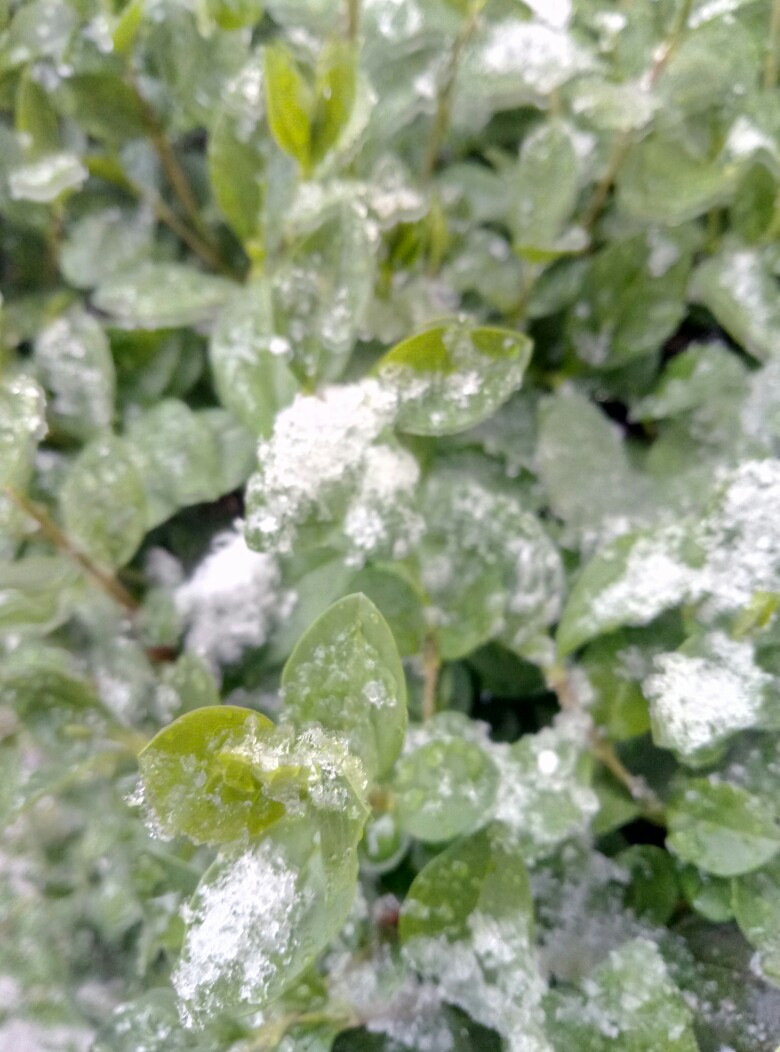 雨雪冰雹