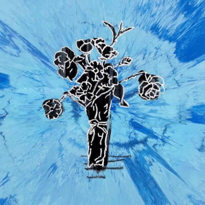 12.《Supermarket Flowers》绘画 | “Divide” - Ed Sheeran 艾德希兰