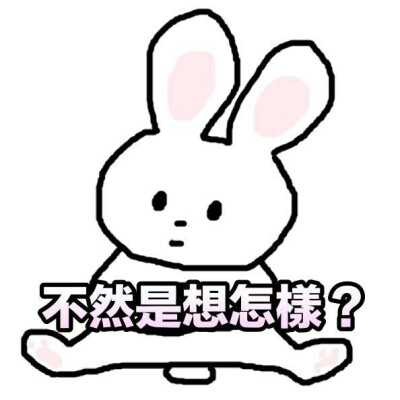 蠢兔兔