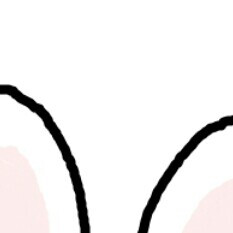 蠢兔兔2
