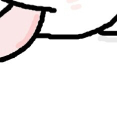 蠢兔兔8
