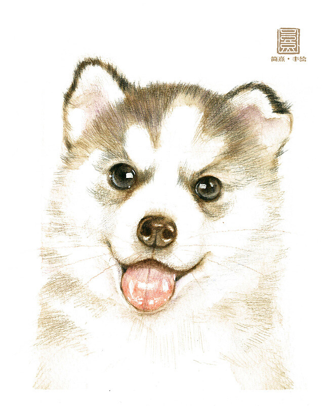 手绘狗狗