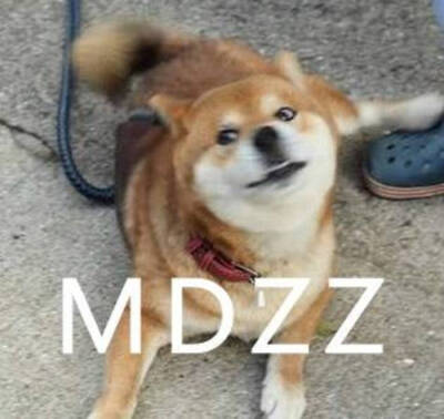 MDZZ