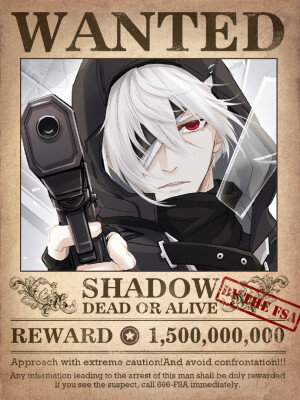 奇迹暖暖小册子