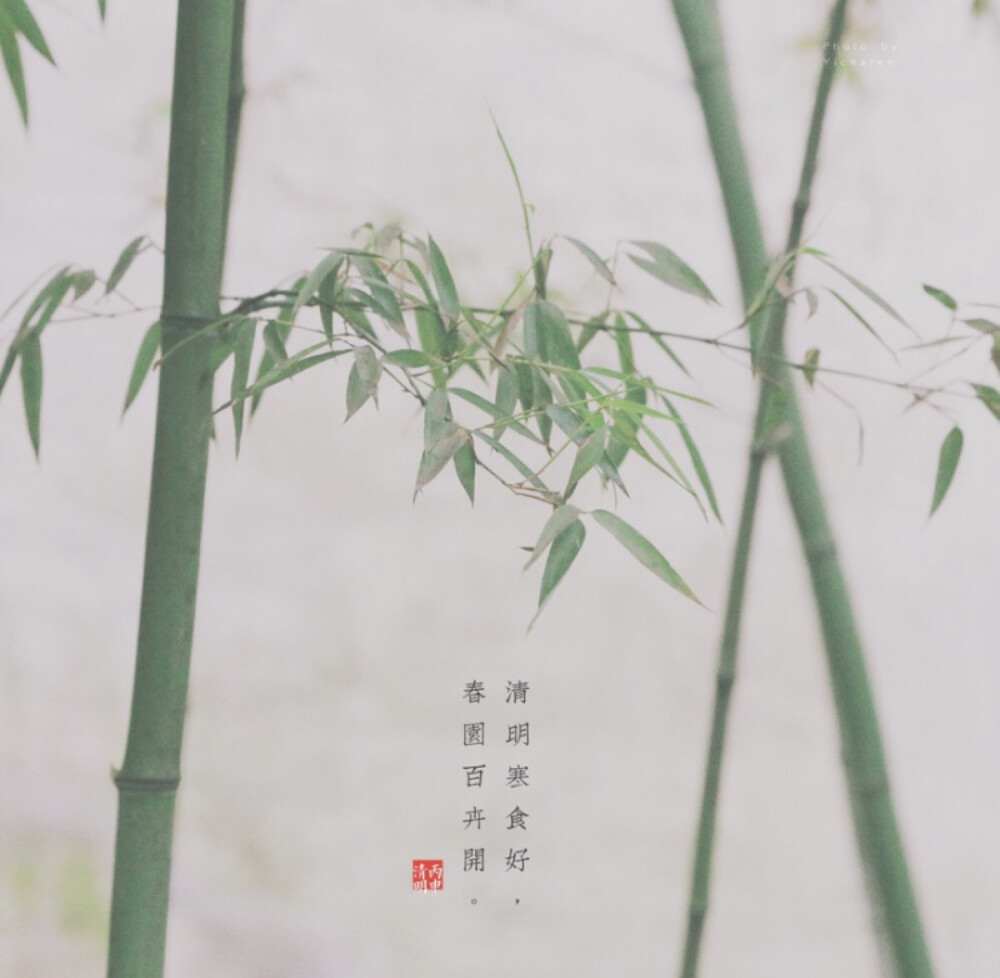 清明节