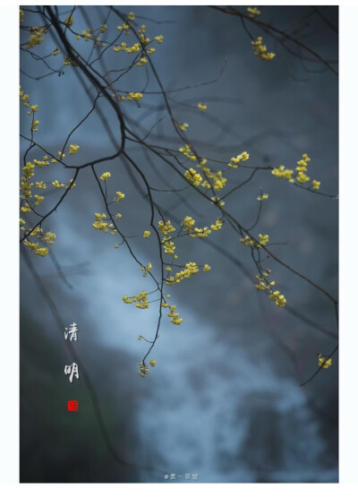 清明节