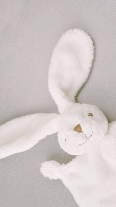 手机壁纸 兔子布偶