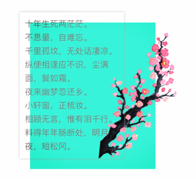 （《江城子·乙卯正月二十日夜记梦》苏轼）