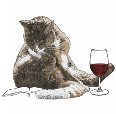 睡前脚托香腮看《西厢记》喝红酒的文艺... ~ 城市的猫_阿科