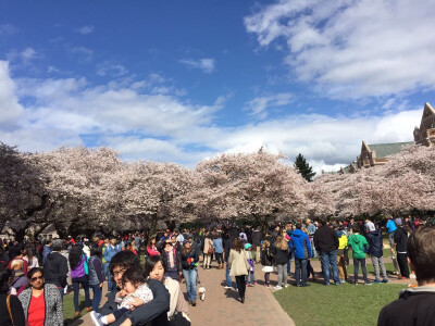 美国西雅图华盛顿大学